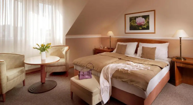 Двухместный номер Economy Dr. Adler Spa & Kurhotel
