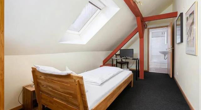 Одноместный номер Standard Hotel Rutherbach
