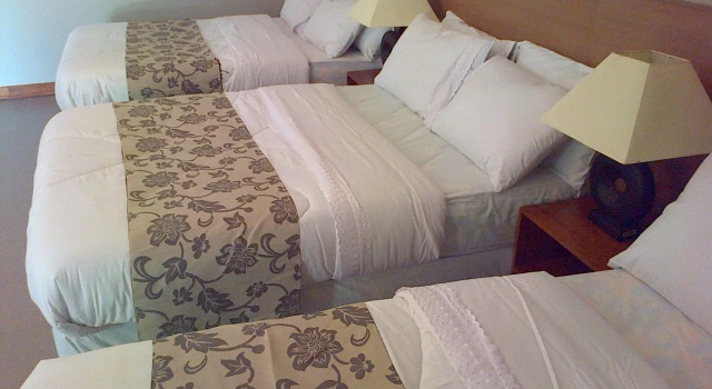 Bushida Bed and Breakfast