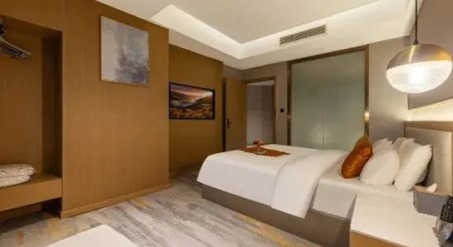 Люкс Business Ba Sha Hotel