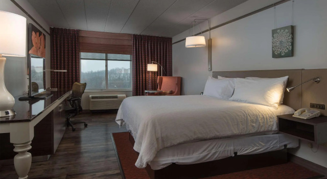 Двухместный номер Standard Hilton Garden Inn Owings Mills