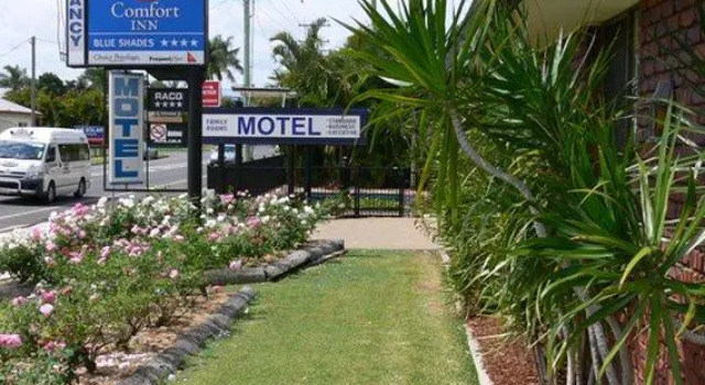 Люкс Standard Blue Shades Motel