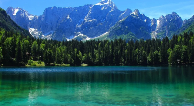 Апартаменты Lovely Apartment in Bled near Lake