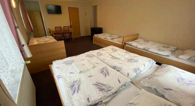 Penzion Pod Zámkem, Rezerwuj Hotel Hotele w Píkovice z basenem, Basen