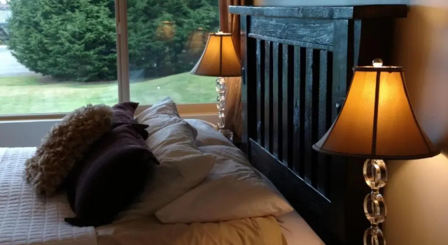Номер Deluxe Greenhouse Inn by the Bay