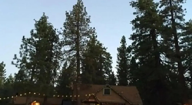 Номер Comfort с 4 комнатами с видом на озеро Golden Bear Cottages
