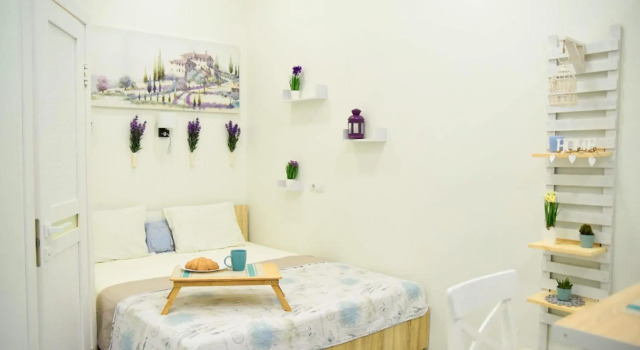 Sweet apartment near center, Prenota Appartamento Leopoli Lviv