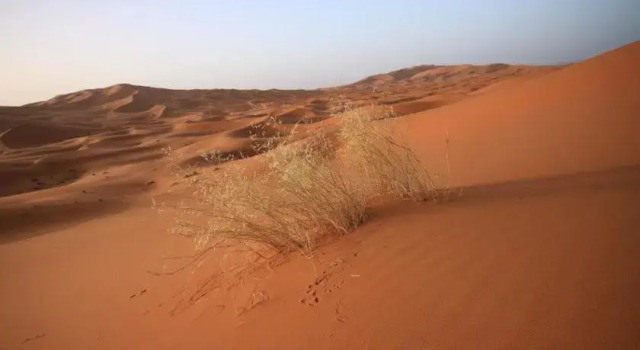 Bivouac Erg Chebbi, Prenota Hotel Merzouga 