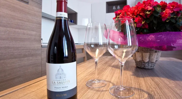 Апартаменты c 1 комнатой с видом на залив Good Wine Apartments
