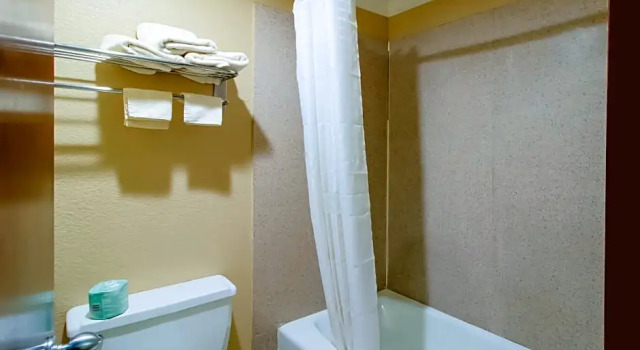 Номер Standard с видом на бассейн OYO Pinewood Inn & Suites Silsbee