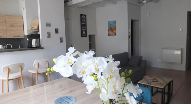 Апартаменты Appartement quartier historique