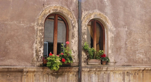Apartment Delfini