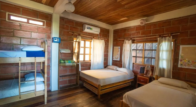 Номер Standard The Sea Garden House