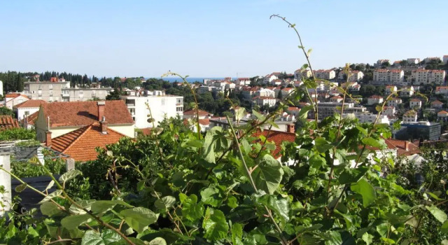 Апартаменты Apartments Gera