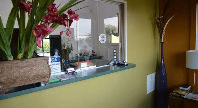 Tropicana Motel Wauchula, 预订 汽车旅馆 Wauchula 佛罗里达州
