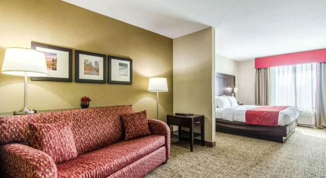 Люкс Comfort Suites Bentonville - Rogers