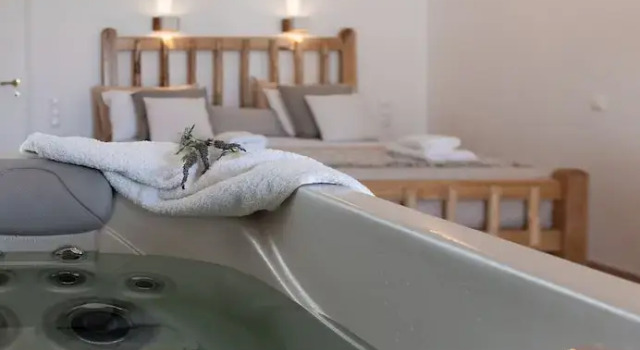Двухместный люкс с балконом Aqua Naxos Apartments & Suites