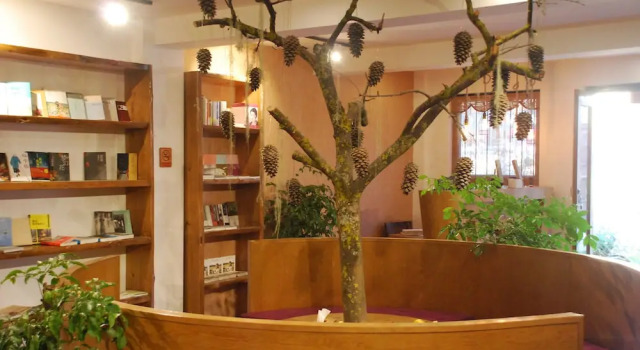 Lugu lake Life and Dream Cultural Inn