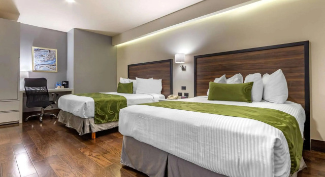 Quality Inn Chihuahua San Francisco, Rezervovat Hotel Hotely v Chihuahua se snídaní, Snídaně