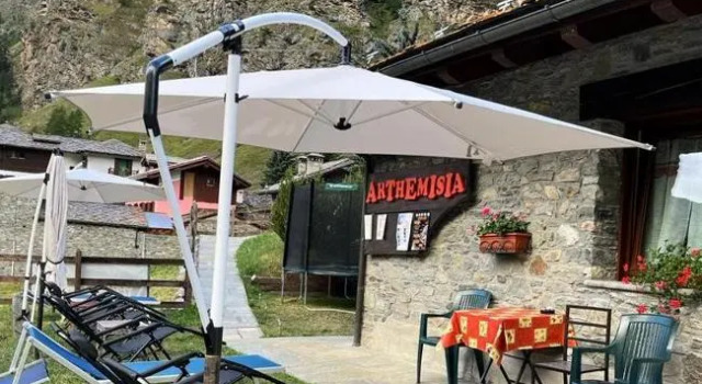 Номер Standard Arthemisia
