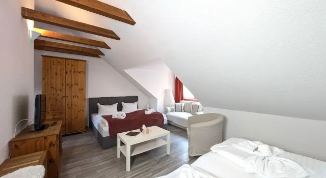 Люкс Standard Hotel Altstadtperle by BohnApartments -Self Check-in - Altstadt