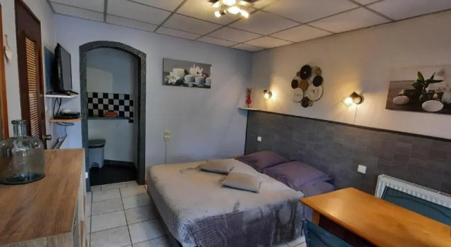 Студия с красивым видом из окна Chambres dhôtes au Pays des Etangs