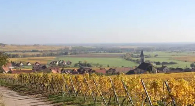Gites Chez le Vigneron, Забронировать Отель Отели Alsace Wine Route с парковкой, Парковка