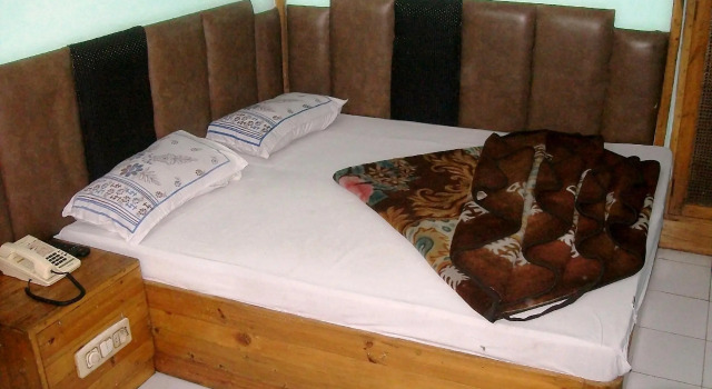 Номер Standard Hotel Delhi Regency