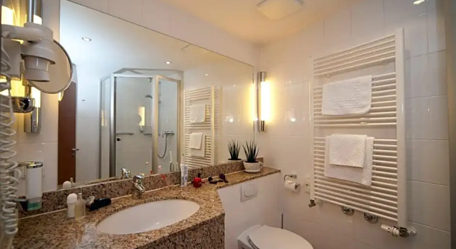 Номер Standard Hotel Mehl