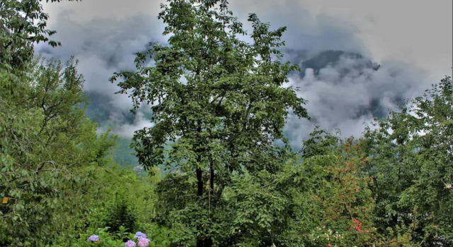 Goroomgo Chandra Cottage Manali, Забронировать Дом для отпуска Виллы Манали, Вилла