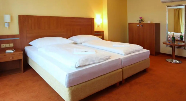 Двухместный номер Superior Wellness Resort Energetic