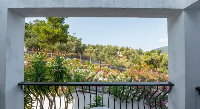 Номер Standard Anamar Skiathos Hotel