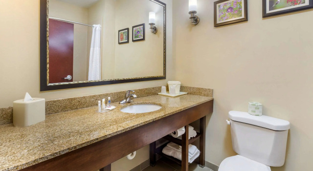 Двухместный люкс Comfort Suites Wilson - I - 95