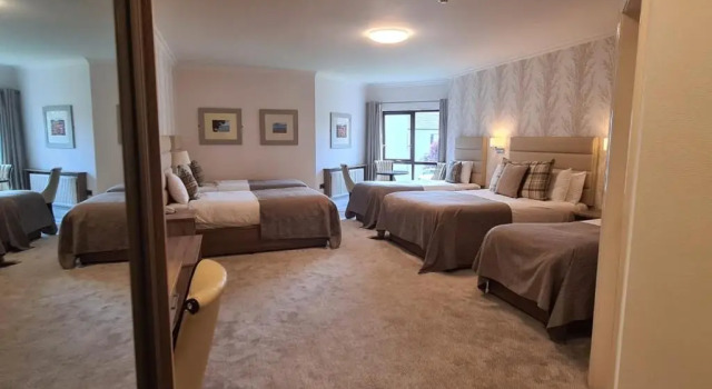Трёхместный номер Standard Mill Park Hotel