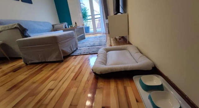 Апартаменты Wood & White apartment in historic center with 2 bedrooms