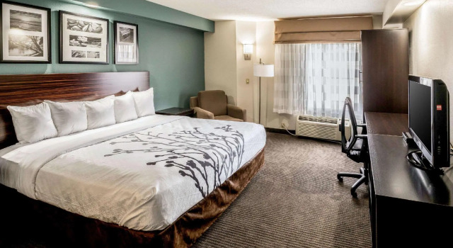 Двухместный номер Standard Spark by Hilton Augusta
