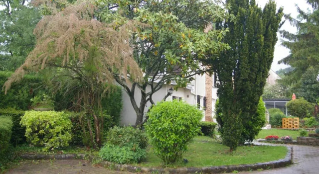 Апартаменты Juniper House