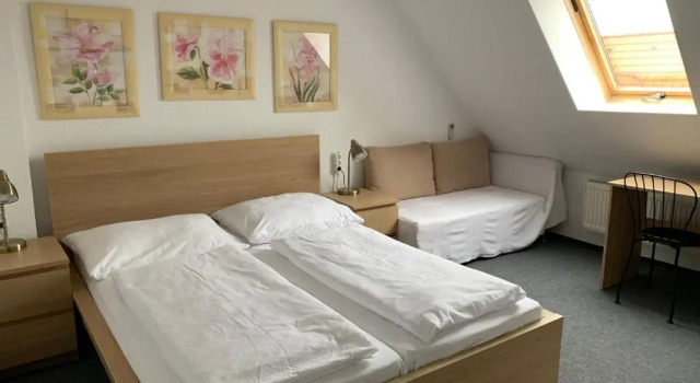 Двухместный номер Standard Penzion Holiday