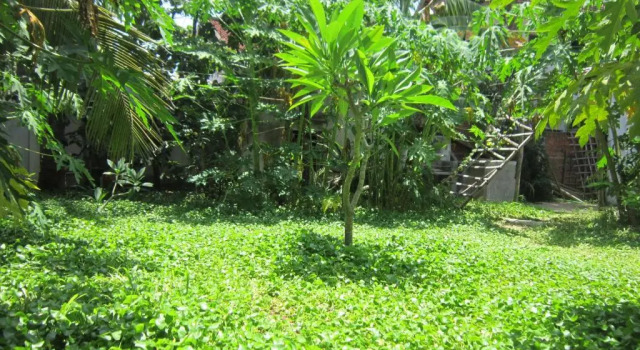 Вилла с 2 комнатами Local Beach Homestay