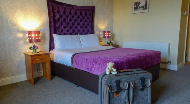Двухместный номер Standard Raheen Woods Hotel