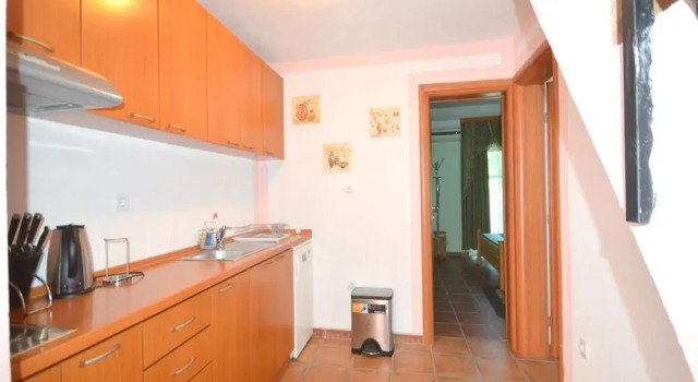Апартаменты Vasily Apartment