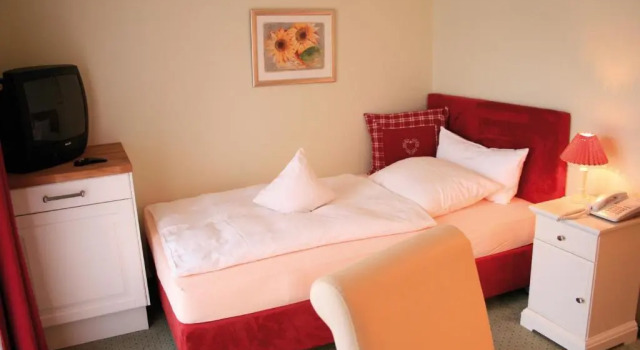 Одноместный номер Golf- und Wellnesshotel Amtsheide
