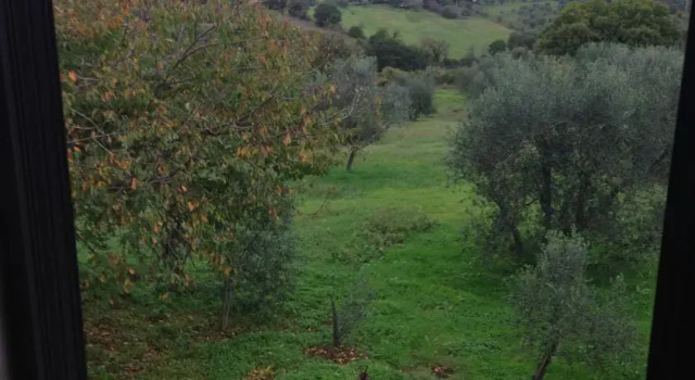 Agriturismo Montalbuccio