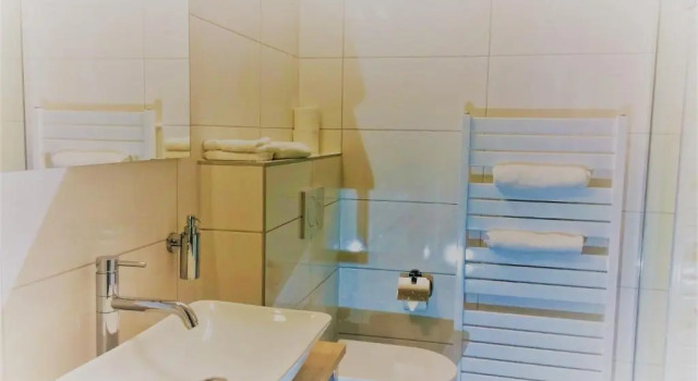 Номер Standard Haarlem 49