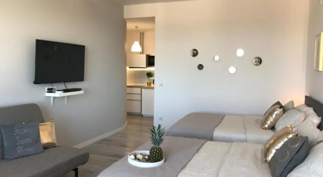 Апартаменты Superior с видом на город Exclusive Apartments Smolna