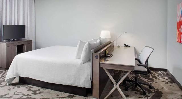 Двухместный номер Premium Hilton Garden Inn Dallas/Arlington South