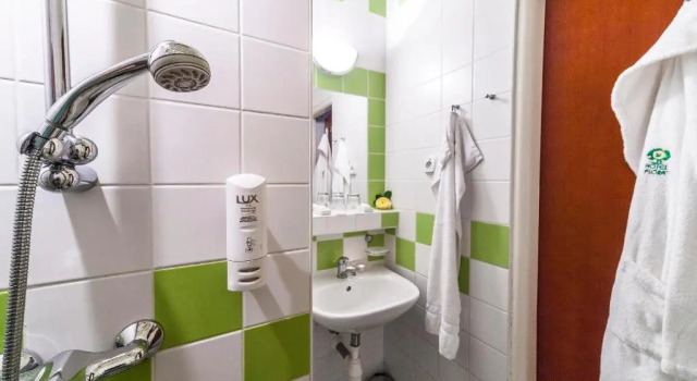 Одноместный номер Standard Hotel Flóra