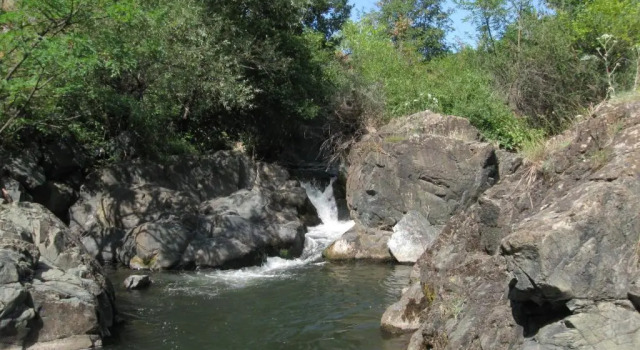 Ethno Village Bogut, Book Hotel Bogutovac Central Serbia