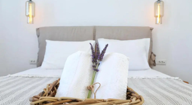 Двухместный номер Deluxe с видом на море Aelia Mykonos