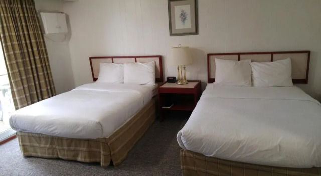 Четырёхместный номер Standard Tulip Inn